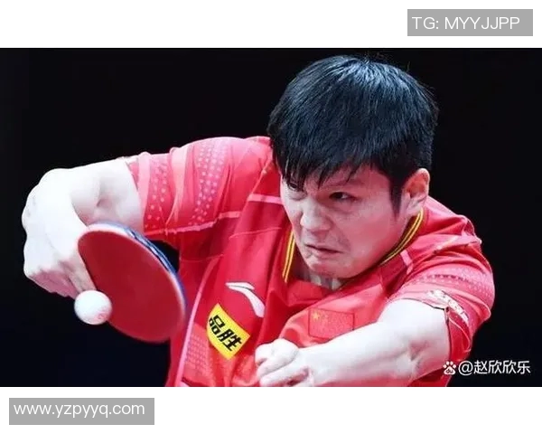 深入探讨成都乒乓球队员个人能力表现的数据分析与提升策略