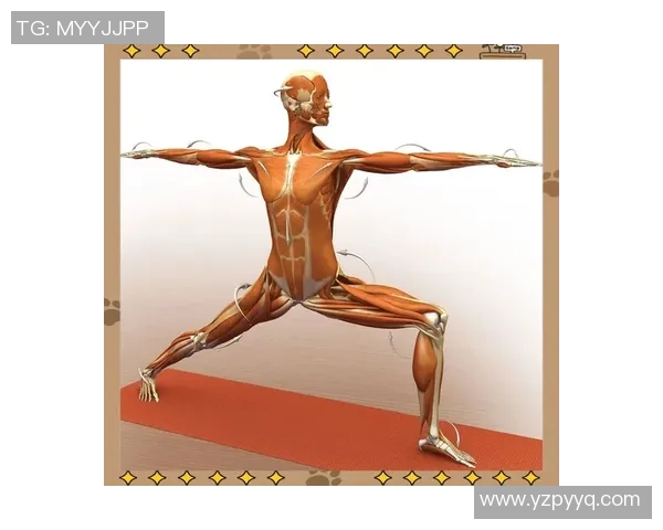 瑜伽用品精选指南:提升练习体验的必备工具与选择技巧