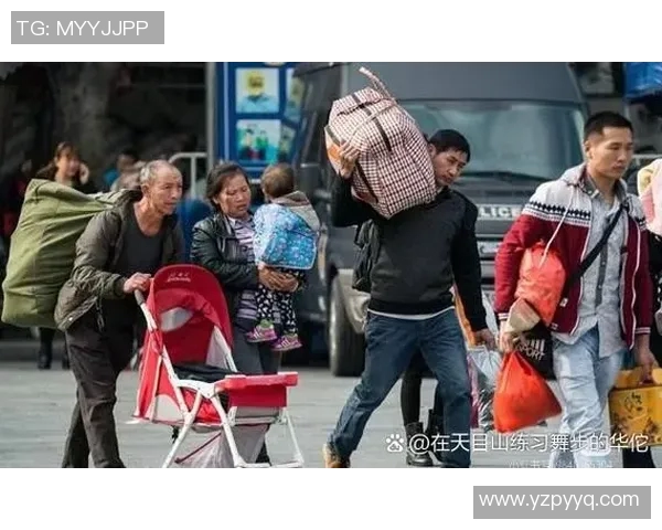 专访张秀英：探寻排球背后的成功秘诀与奋斗故事