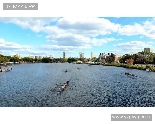 激烈竞逐挑战极限 游泳赛事聚焦速度与激情的水上盛宴