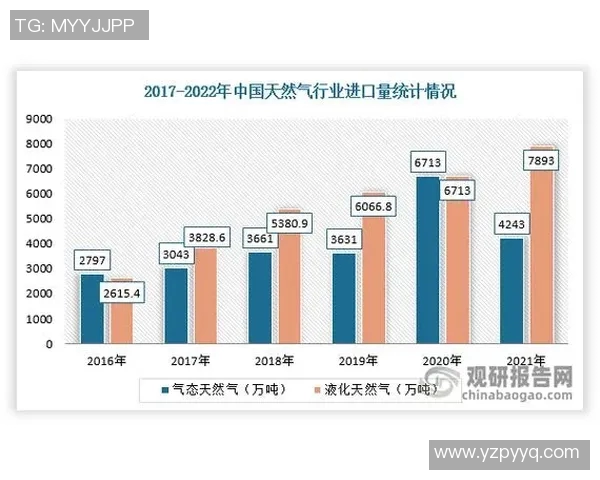 数据分析在液化天然气行业中的个人能力提升与表现研究